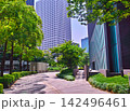 大阪府北区梅田の新緑のオフィス街 142496461