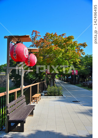《愛知県》名古屋城　金シャチ横丁宗春ゾーン 142496495