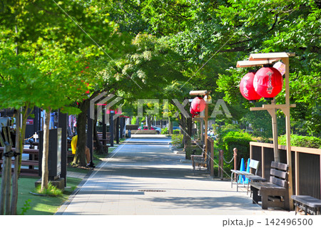 《愛知県》名古屋城 金シャチ横丁宗春ゾーン 《愛知県》名古屋城 金シャチ横丁宗春ゾーン 142496500