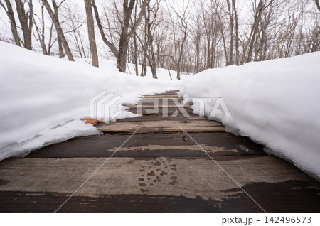 雪深い森に続く木道と残された足跡 雪深い森に続く木道と残された足跡 142496573