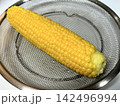 とうもろこし 142496994