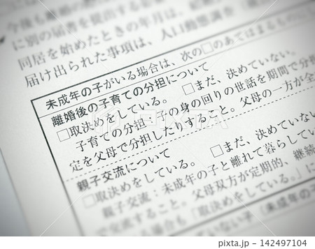 離婚届の「離婚後の子育ての分担について」の欄 142497104