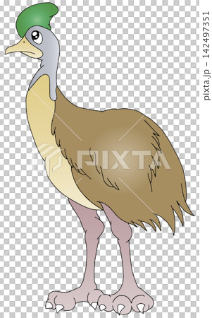 Hand-drawn animal illustration ☆ Cassowary Hand-drawn animal illustration ☆ Cassowary 142497351