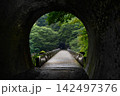 風の群馬気まま旅（旧碓氷峠鉄道は碓氷峠の急勾配の為、紆余曲折し1892年前線開業。その面影を残す。） 142497376