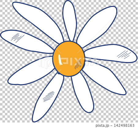 hand drawn daisy flower illustration retro cartoon hand drawn daisy flower illustration retro cartoon 142498163
