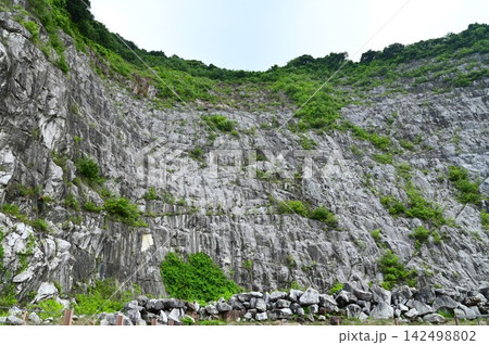 あぶくま洞 石灰岩の露頭 あぶくま洞 石灰岩の露頭 142498802