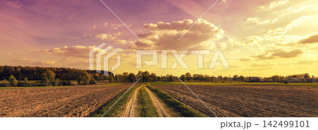 Rural landscape during sunset. A country road through the field Rural landscape during sunset. A country road through the field 142499101