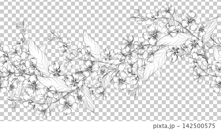 Seamless border of the bird cherry branches. Handmade farm pencil illustrations. For design of cards, cover, prints, product labels and fabric. Seamless border of the bird cherry branches. Handmade farm pencil illustrations. For design of cards, cover, prints, product labels and fabric. 142500575