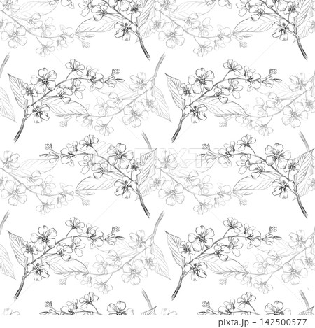 Seamless pattern of the bird cherry branches. Handmade pencil illustrations. For design of cards, cover, prints, product labels and fabric. Seamless pattern of the bird cherry branches. Handmade pencil illustrations. For design of cards, cover, prints, product labels and fabric. 142500577