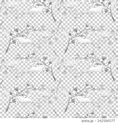 Seamless pattern of the bird cherry branches. Handmade pencil illustrations. For design of cards, cover, prints, product labels and fabric. Seamless pattern of the bird cherry branches. Handmade pencil illustrations. For design of cards, cover, prints, product labels and fabric. 142500577