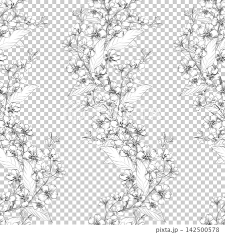Seamless pattern of the vertical rows of the bird cherry branches. Handmade pencil illustrations. For design of cards, cover, prints, product labels and fabric. Seamless pattern of the vertical rows of the bird cherry branches. Handmade pencil illustrations. For design of cards, cover, prints, product labels and fabric. 142500578