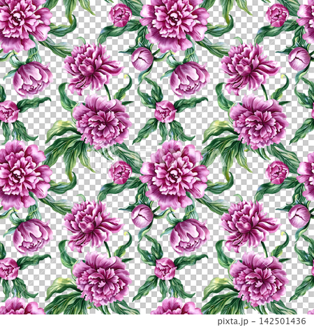 Seamless pattern with pink peonies. A hand drawn watercolor illustration. Ideal for textiles, tablecloths and curtains, wallpaper, covers, wrapping paper, prints, and much more. Seamless pattern with pink peonies. A hand drawn watercolor illustration. Ideal for textiles, tablecloths and curtains, wallpaper, covers, wrapping paper, prints, and much more. 142501436