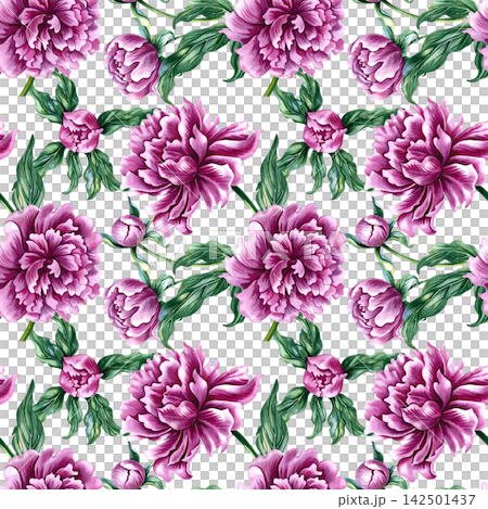 Seamless pattern with pink peonies. A hand drawn watercolor illustration. Ideal for textiles, tablecloths and curtains, wallpaper, covers, wrapping paper, prints, and much more. Seamless pattern with pink peonies. A hand drawn watercolor illustration. Ideal for textiles, tablecloths and curtains, wallpaper, covers, wrapping paper, prints, and much more. 142501437