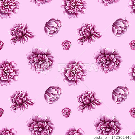 Seamless pattern with pink peonies. A hand drawn watercolor illustration. Against a pink background. Ideal for textiles, tablecloths and curtains, wallpaper, wrapping paper, prints, and much more. 142501440