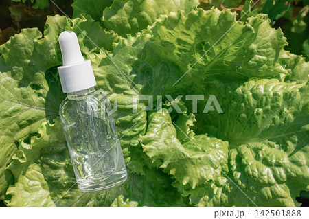 Skincare serum bottle with dropper, nestled among lush green lettuce leaves, natural beauty and organic cosmetics. Nature as laboratory, pure, eco-friendly beauty of plant origin, biotech cosmetics Skincare serum bottle with dropper, nestled among lush green lettuce leaves, natural beauty and organic cosmetics. Nature as laboratory, pure, eco-friendly beauty of plant origin, biotech cosmetics 142501888