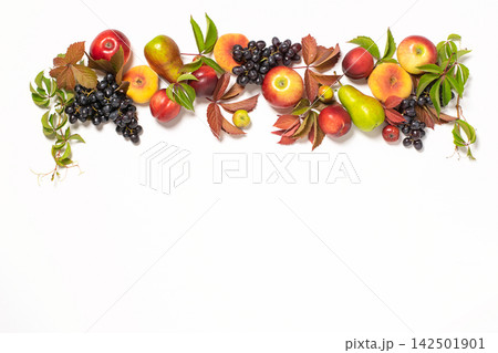 Autumn fruits apples pears grapes fallen leaves lined with frame white background. Thanksgiving harvest concept 142501901