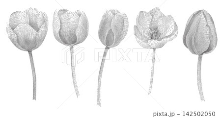 Radial Flower Shapes in Stipple Dot Style 142502050