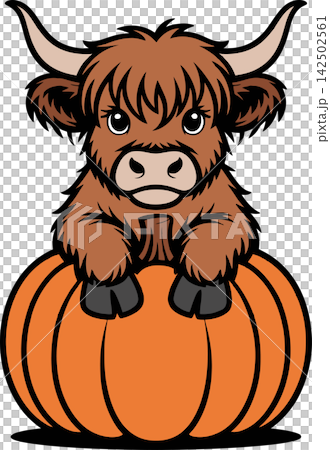 Cute Highland Cow Sitting on Pumpkin Illustration Cute Highland Cow Sitting on Pumpkin Illustration 142502561