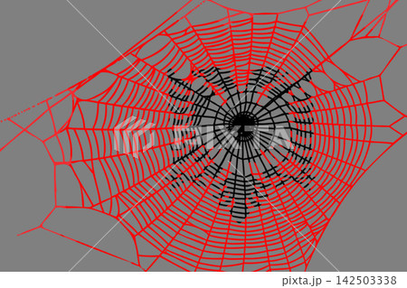 3D Flag on spider web 3D Flag on spider web 142503338