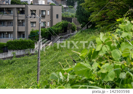 宮前平は階段の町 142503598