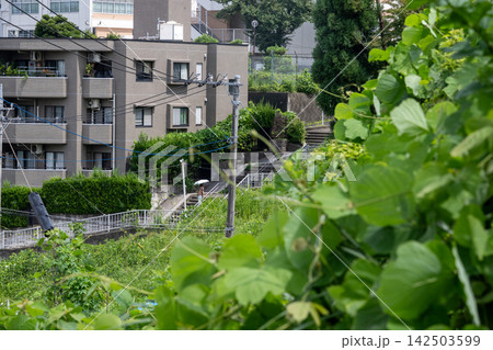 宮前平は階段の町 142503599