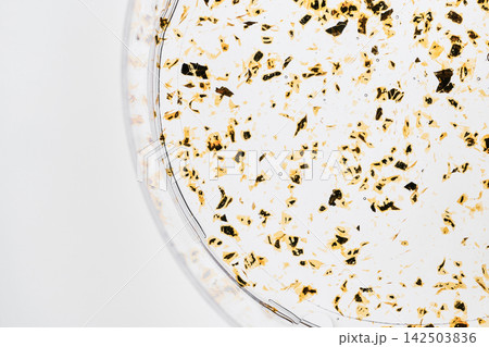 Golden skincare serum with gold flakes in glass dropper and petri dish on white background 142503836