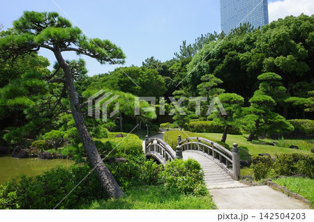 幕張海浜公園にある見浜園の池と太鼓橋 幕張海浜公園にある見浜園の池と太鼓橋 142504203
