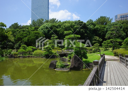幕張海浜公園にある見浜園の池と橋 幕張海浜公園にある見浜園の池と橋 142504414
