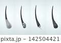 医療概念の青背景と毛根包を極小表示した毛髪構造の3DCG解説 142504421