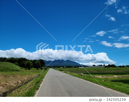 原村の農道から見た真夏の八ヶ岳 原村の農道から見た真夏の八ヶ岳 142505239