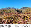 八ヶ岳の紅葉 142505273