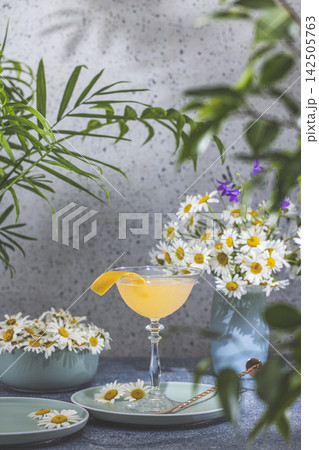 Refreshing yellow cocktail decorated with orange zest among daisies and tropical plants Refreshing yellow cocktail decorated with orange zest among daisies and tropical plants 142505763