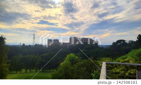 豊かな自然の向こうに広がる都市の夕景 豊かな自然の向こうに広がる都市の夕景 142506181