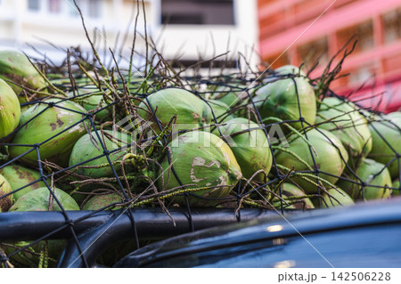 Green Coconuts Transported in a Net-Covered Truck in Bangkok Green Coconuts Transported in a Net-Covered Truck in Bangkok 142506228