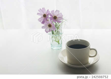 窓辺のコスモスとコーヒー 秋の穏やかな朝時間 窓辺のコスモスとコーヒー 秋の穏やかな朝時間 142508752