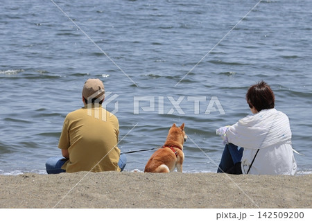 海を眺める夫婦 犬の散歩をする家族 海を眺める夫婦 犬の散歩をする家族 142509200