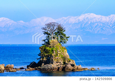 富山湾にある雨晴海岸から眺める立山連峰の超絶景 142509866