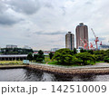 辰巳桜橋の上から 142510009