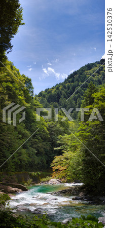 ブルーに包まれた神秘の渓谷 ブルーに包まれた神秘の渓谷 142510376