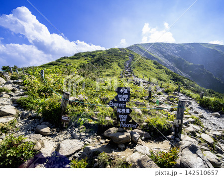 八方尾根登山道 八方尾根登山道 142510657