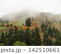霧に煙る秋の山の風景 142510661