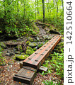 森の渓流に架かる木橋と登山道 142510664