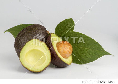 avocado fruits isolated on white background 142511851