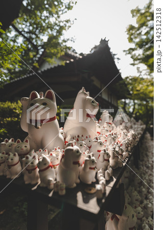 豪徳寺に並ぶ招き猫 ― 福を招く東京の名所 豪徳寺に並ぶ招き猫 ― 福を招く東京の名所 142512318