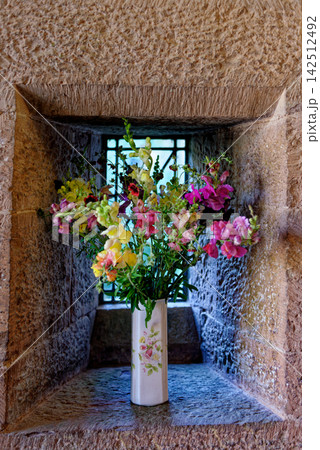 Snapdragon Floral Arrangement in Gothic Stone Window Niche at Knightshayes Court 142512492