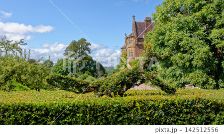 Victorian High Gothic Facade and Blooming Summer Borders at Knightshayes Court 142512556