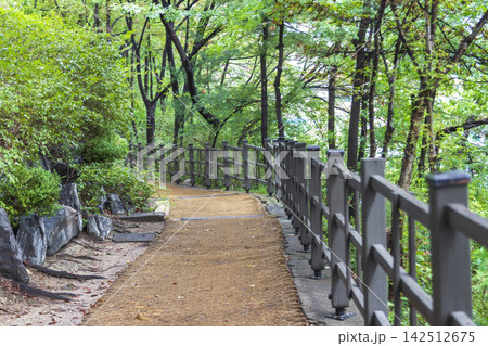 A long outdoor staircase with dark railings winds upward through dense green trees and foliage. A long outdoor staircase with dark railings winds upward through dense green trees and foliage. 142512675