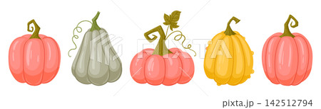 Halloween pumpkin collection. Cartoon assorted pumpkins with curling stems flat vector illustration set. Colorful autumn harvest graphics isolated on white background 142512794