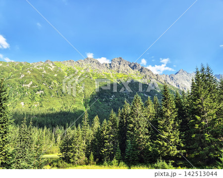 Coniferous forests and rocky peaks in the High Tatras. Dramatic alpine scenery on the border between Poland and Slovakia. 142513044