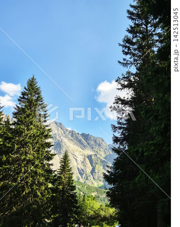 High Tatra mountain landscape featuring a quiet wooded slopes, and rugged rocky peaks. A scenic natural setting in the Poland-Slovakia border region. High Tatra mountain landscape featuring a quiet wooded slopes, and rugged rocky peaks. A scenic natural setting in the Poland-Slovakia border region. 142513045